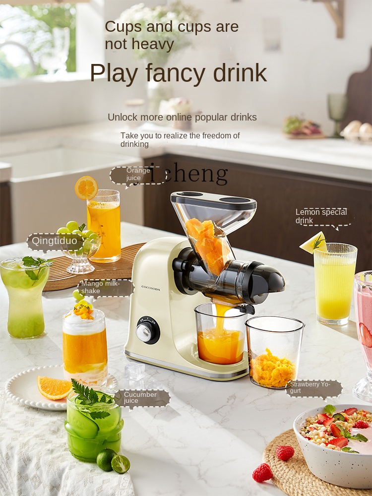 cc28 Low Speed Juicer Sapcentr - Juicer recensie en prijs