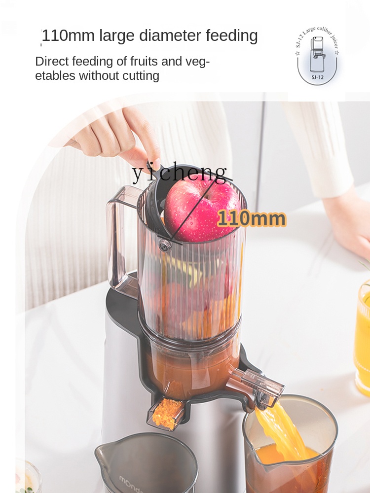 cc28 Sapcentrifuge Automatisch - Juicer recensie en prijs